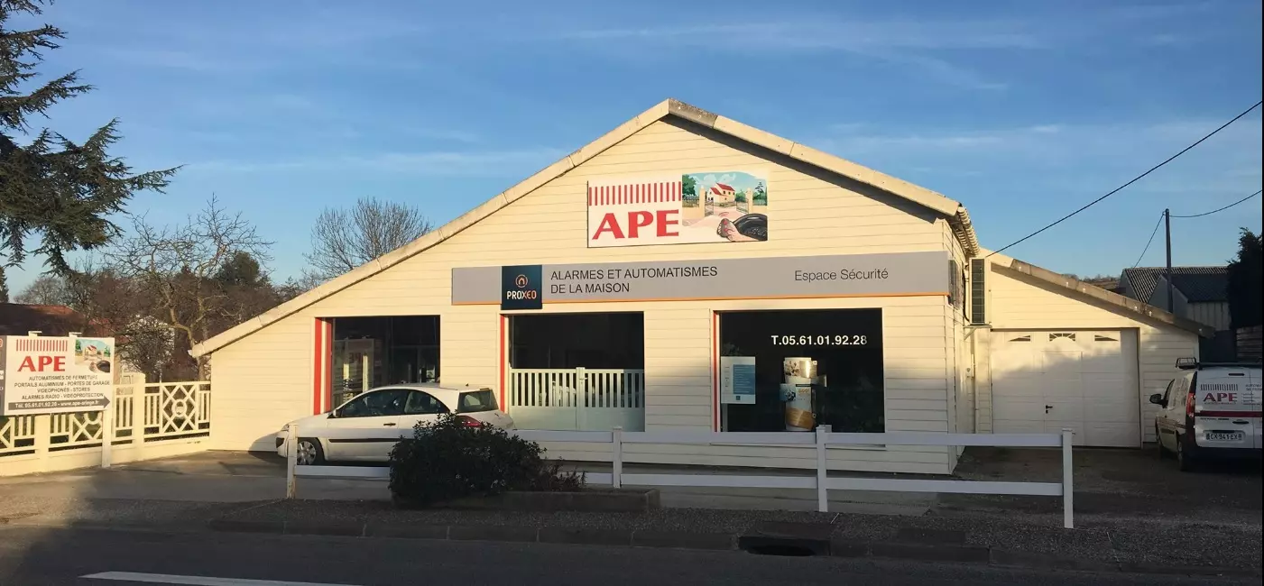 A.P.E.