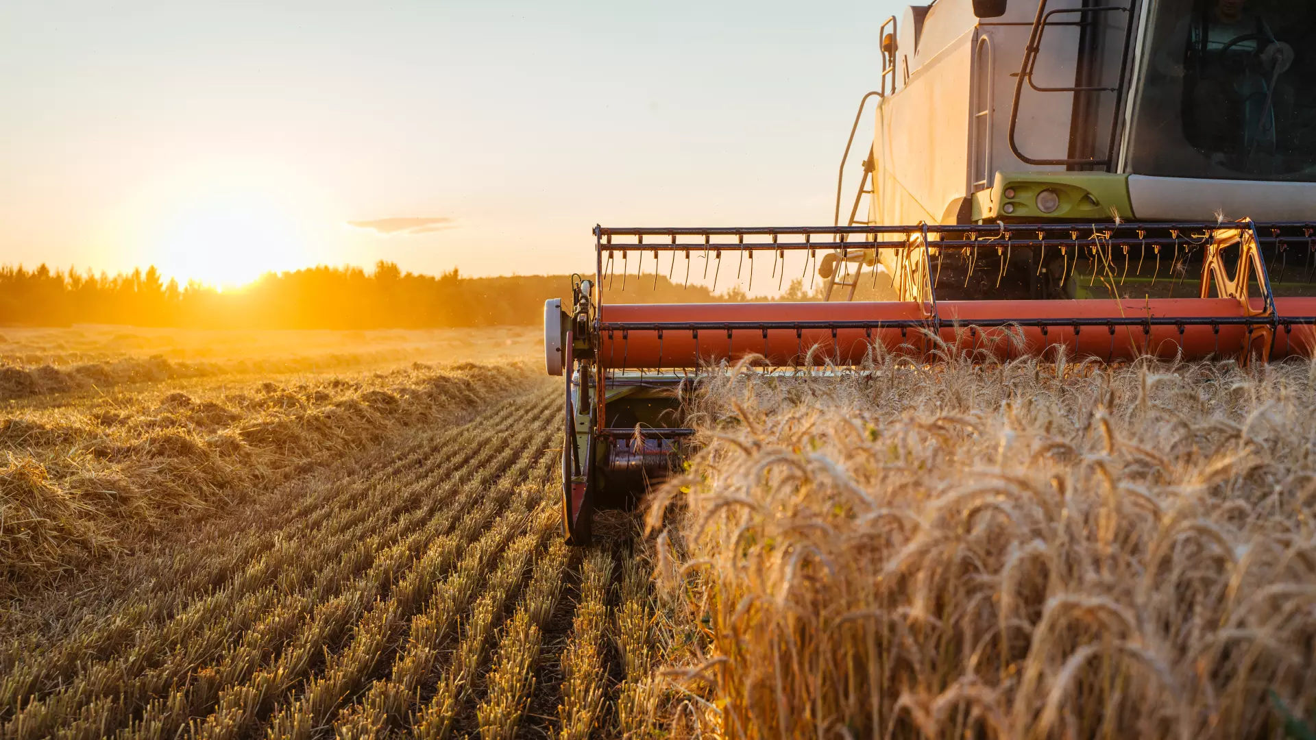 Landwirtschaftliche Betriebe absichern